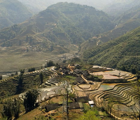 Terrazas de arroz Vietnam