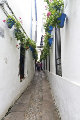 Calle de las Flores de Córdoba